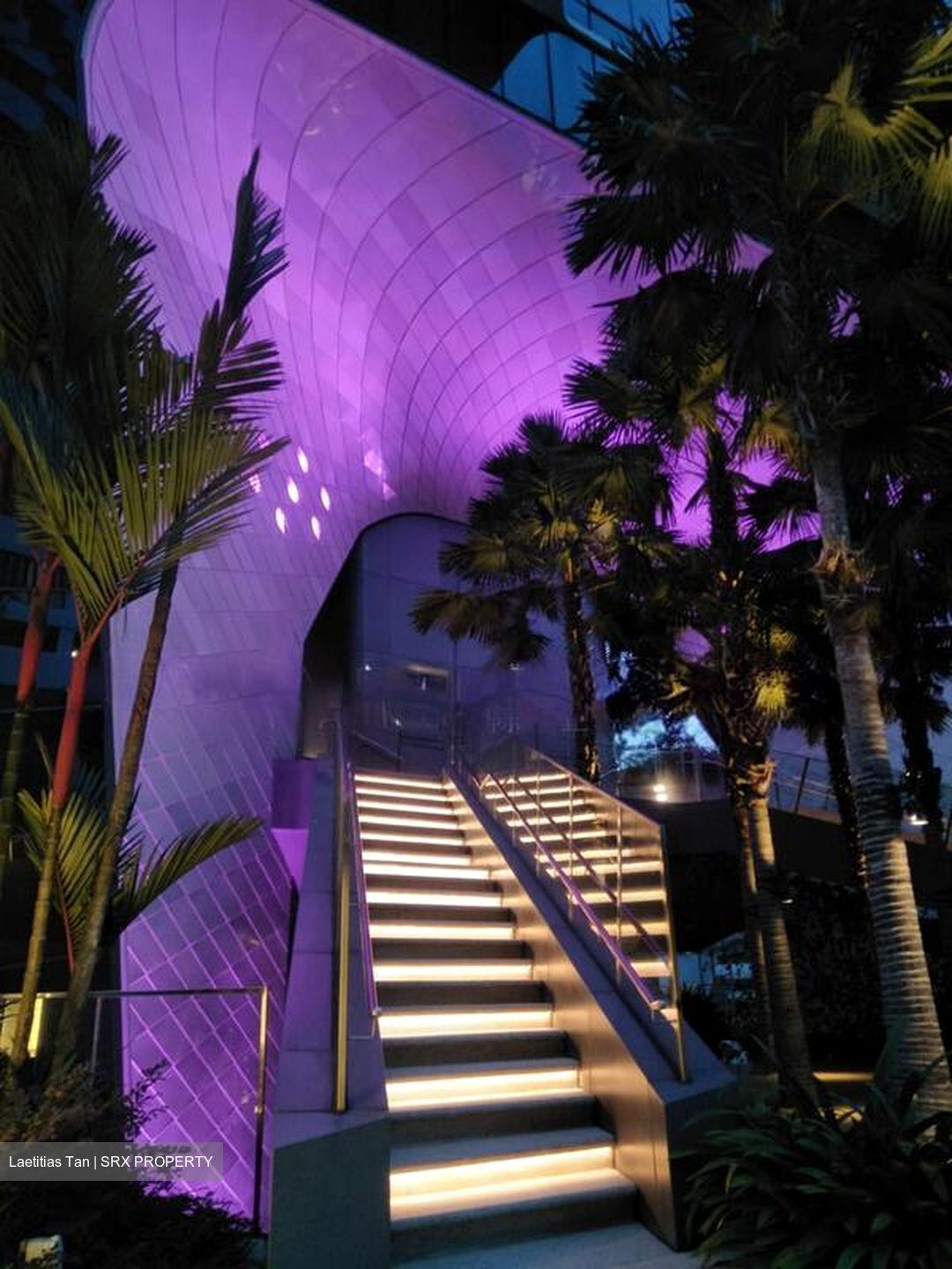 The Scotts Tower (D9), Condominium #503940001